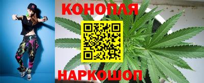 шишки Каменск-Шахтинский
