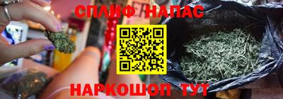 крисы Камень-на-Оби