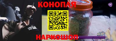 крисы Камень-на-Оби