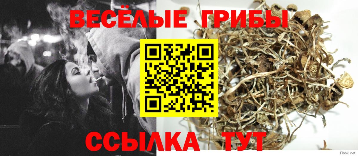 Псилоцибиновые грибы Благодарный