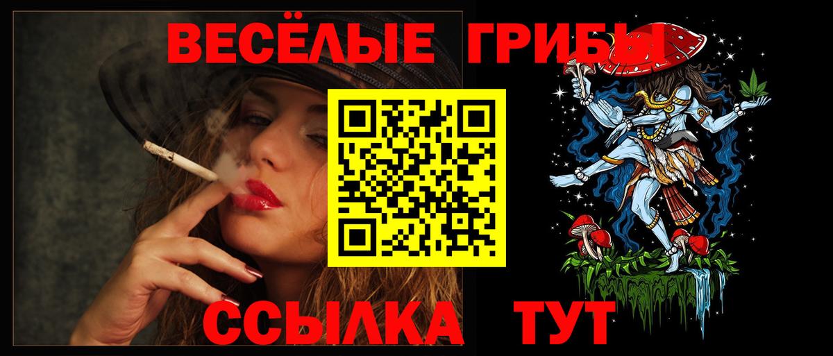 Галлюциногенные грибы MAGIC MUSHROOMS  Галлюциногенные грибы GOLDEN TEACHER  Вход с VPN  Благодарный 