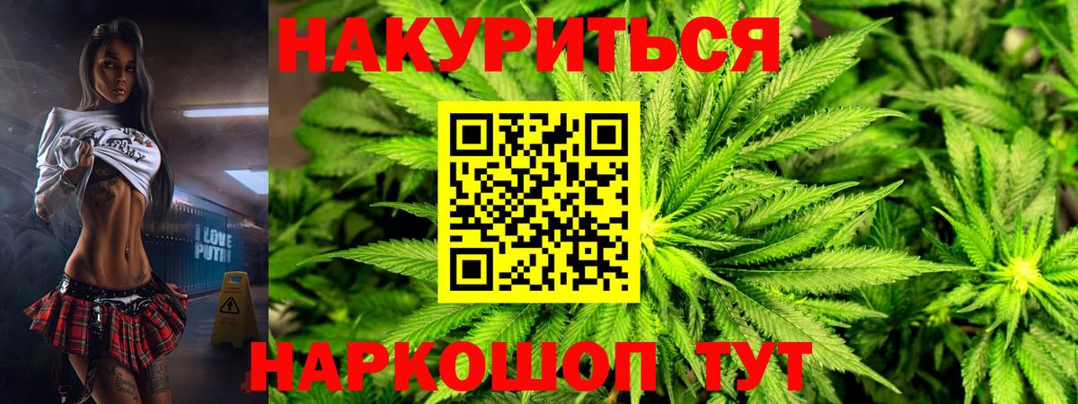 МАРИХУАНА сатива Благодарный